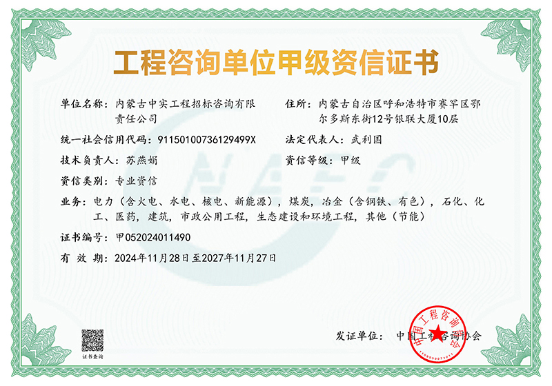 (中国)科技公司单位甲级专业资信证书