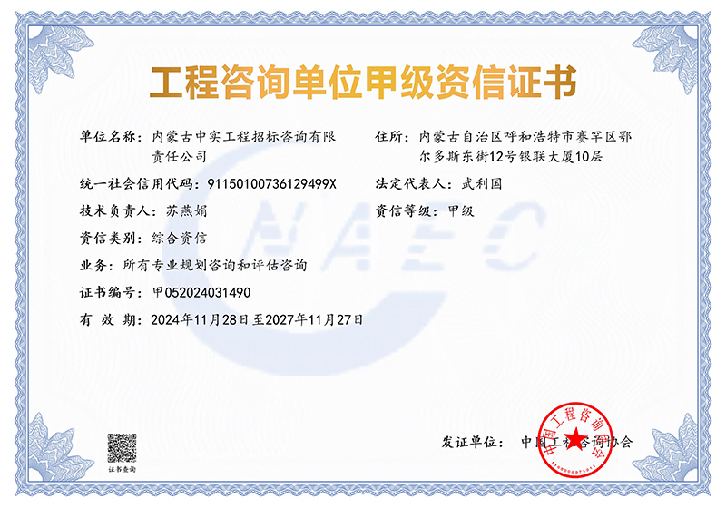 (中国)科技公司单位甲级综合资信证书