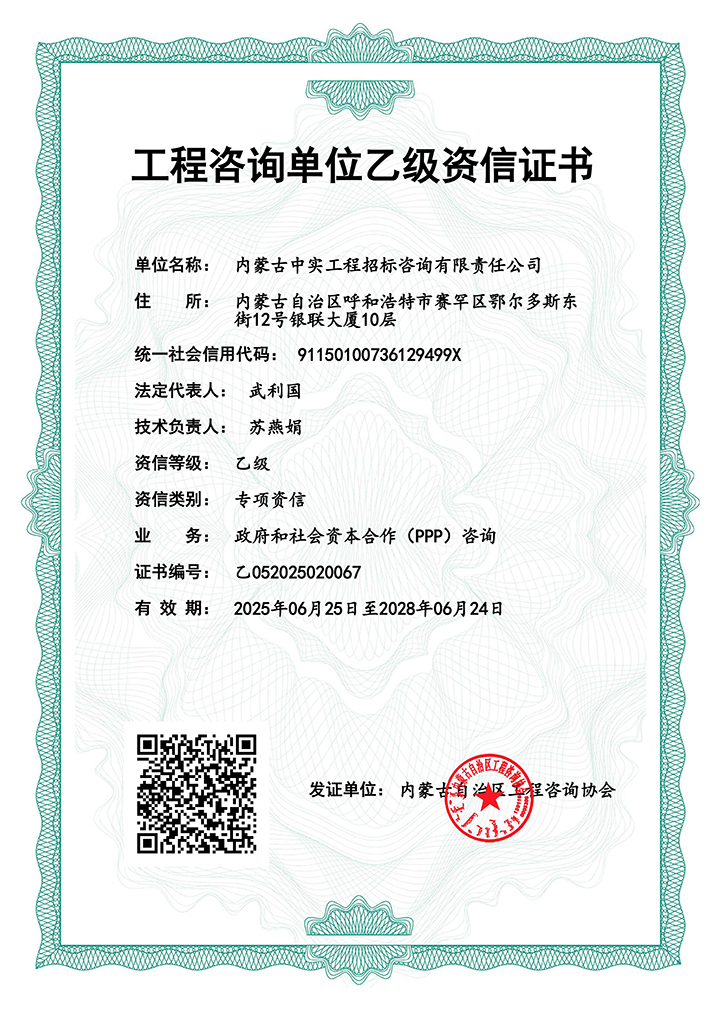 (中国)科技公司单位乙级专项资信证书