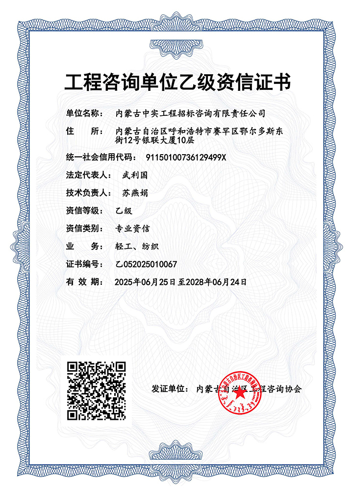 (中国)科技公司单位乙级专业资信证书