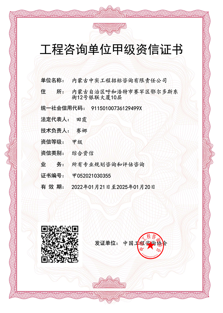 (中国)科技公司单位甲级综合资信证书