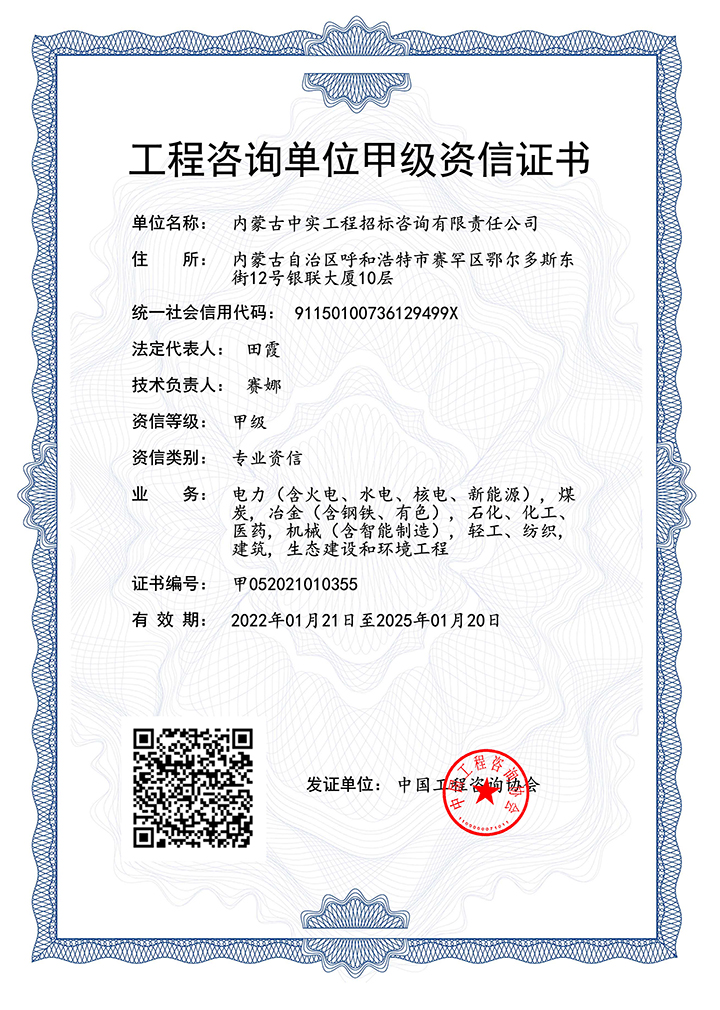 (中国)科技公司单位甲级专业资信证书