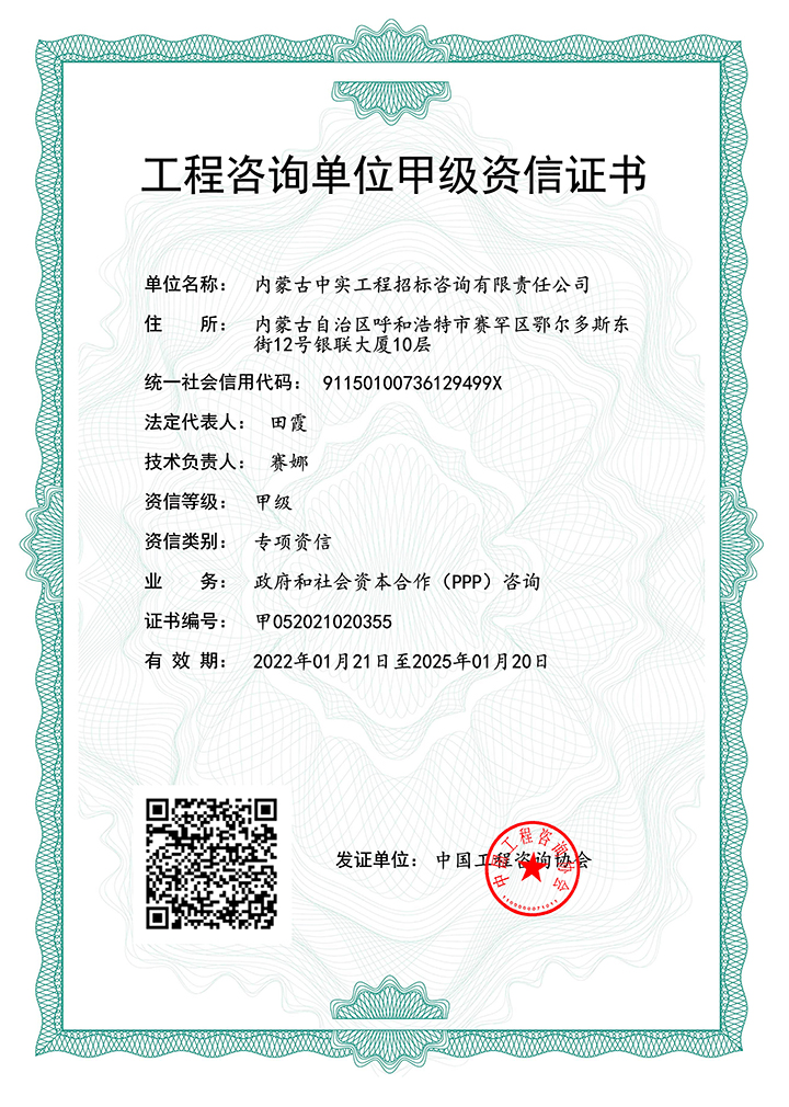 (中国)科技公司单位甲级专项资信证书
